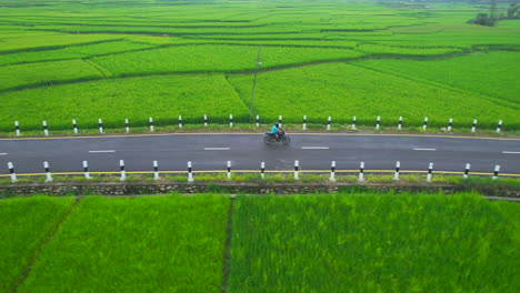 Drohnenaufnahme-Eines-Motorrads,-Das-Auf-Der-Straße-Zwischen-Landwirtschaftlichen-Flächen-Fährt