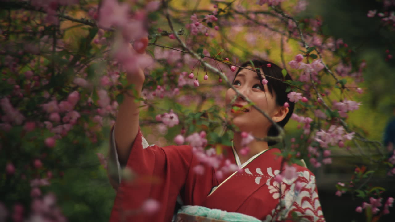 Woman in Kimono under Cherry Blossoms