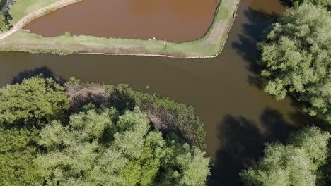 Aerial-view-of-lily-pads-and-surrounding-greenery-in-Pateira-de-Fermentelos,-Aveiro,-Portugal