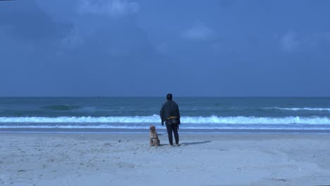 a man setting on the beach with the dog standing up and visualizing