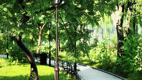 scenic view of a winding stone path through a peaceful green city park