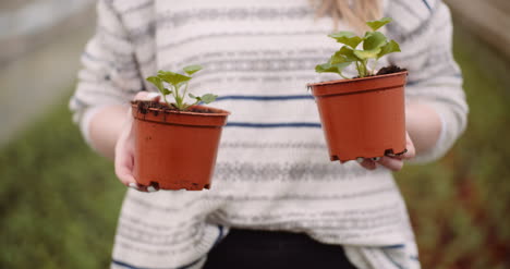 Agriculture-Female-Gardener-Holding-Two-Flowers-Pots-In-Greenhouse-4