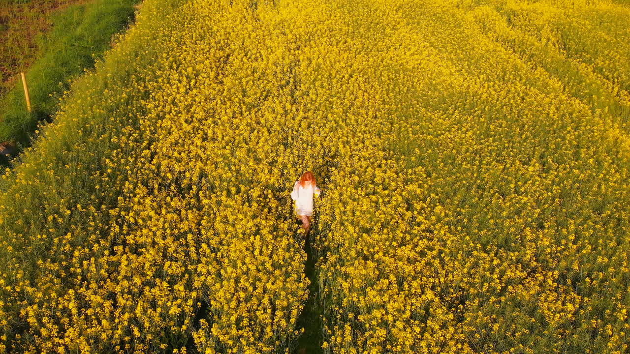 은 머리 여성이 겨자 에 서 4k