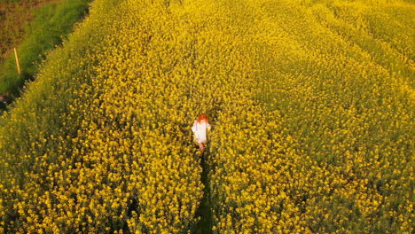 Mujer-Pelirroja-Parada-En-El-Campo-De-Mostaza-4k