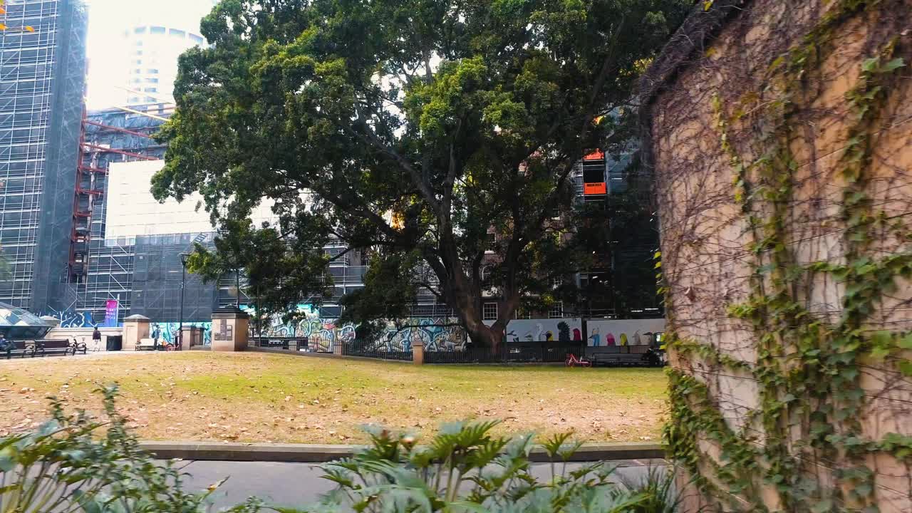 시드니 윈야드 버스 정류장