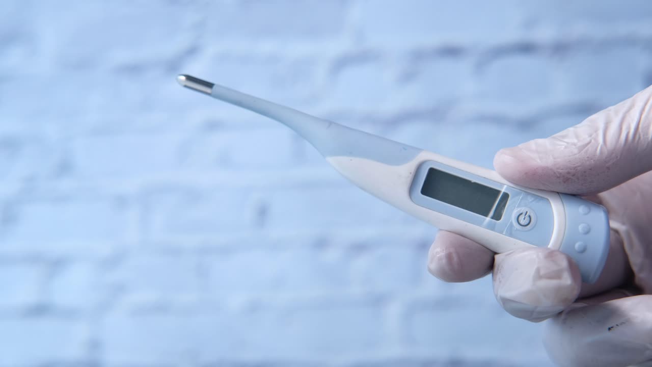 휴대용 디지털 온도계