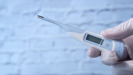 handheld digital thermometer