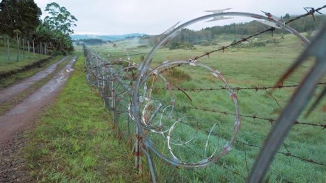 Close-up-barbed-razor-wire-fence,-protection-boundary-to-prevent-crime