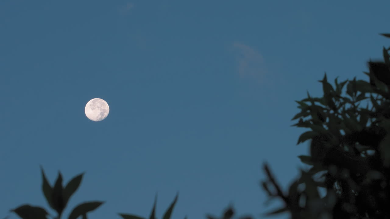 Waning Gibbous moon before on the bright evening sky