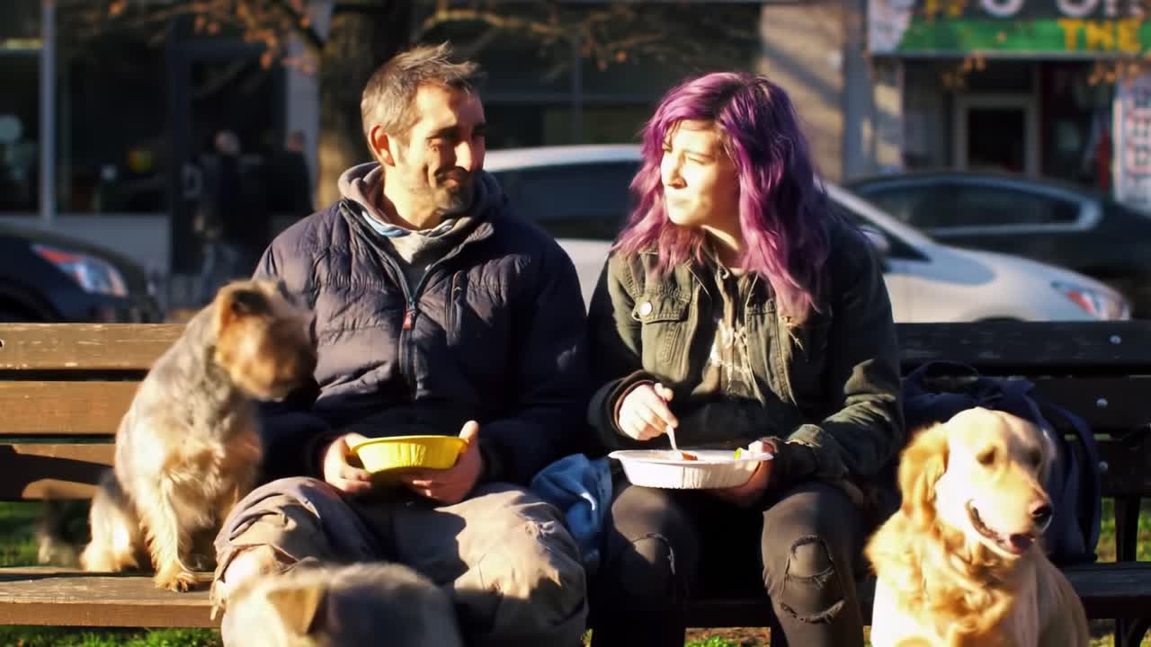 A Heartwarming Moment: Two Friends Share a Meal with Their Adorable Dogs on a Bright Day in the Park, Embracing the Joy of Companionship and Simple Pleasures.