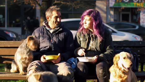 a heartwarming moment: two friends share a meal with their adorable dogs on a bright day in the park, embracing the joy of companionship and simple pleasures.
