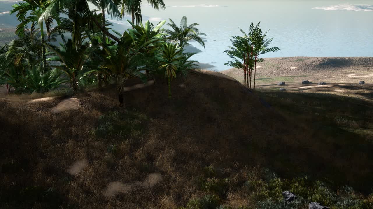 ⁇ 나무 를 가로지르는 해 가 지는 광선