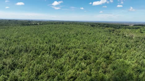 Eine-Drohne-Fliegt-über-Einen-Einheimischen-Wald-In-Kenia