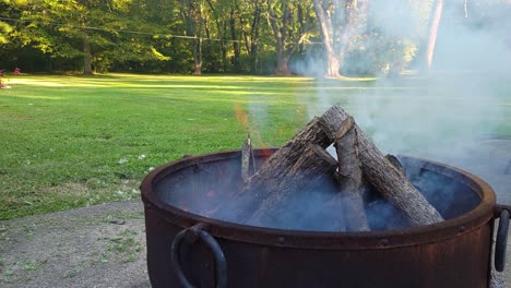 Eine-Seitenansicht-Eines-Kleinen-Lagerfeuers-Mit-Sanften-Flammen-Im-Garten-Bei-Strahlendem-Sonnenschein