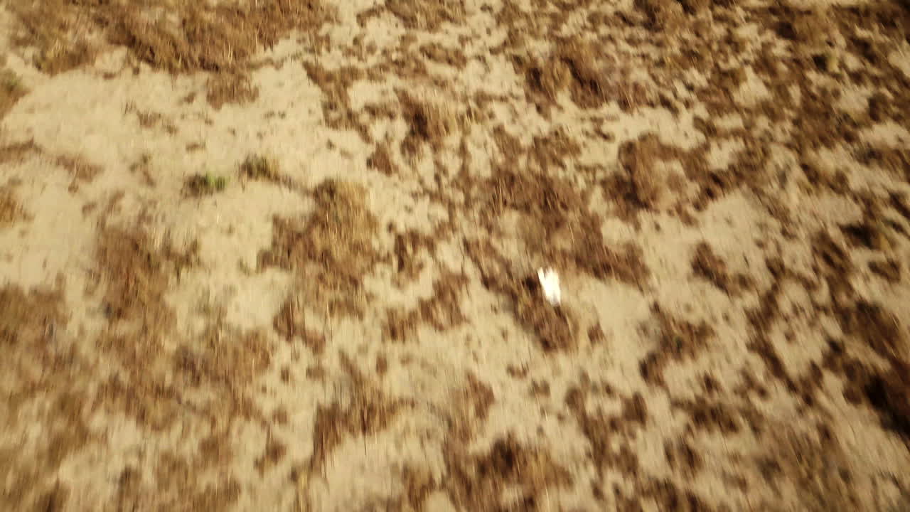 빠른 통과 층을 구성하는 조슈아 트리 모하비 사막 풍경을 지나 비행