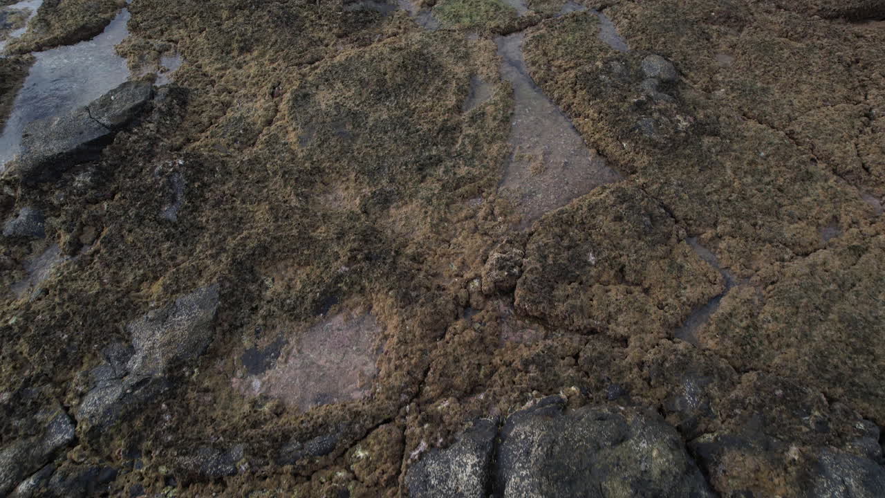 fantástica toma aérea sobre la costa con rocas de la playa de punta de galdar en la isla de gran canaria y revelando las casas cerca de la costa