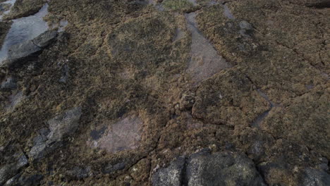 Fantástica-Toma-Aérea-Sobre-La-Costa-Con-Rocas-De-La-Playa-De-Punta-De-Galdar-En-La-Isla-De-Gran-Canaria-Y-Revelando-Las-Casas-Cerca-De-La-Costa