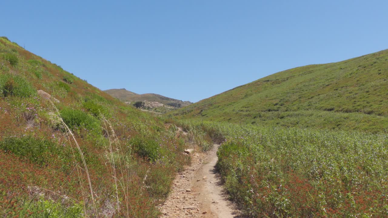 parque natural sintra-cascais의 산에 있는 고요한 풀밭 한가운데 있는 길