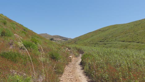 a path in the middle of a serene field of grass in the mountains of parque natural sintra-cascais