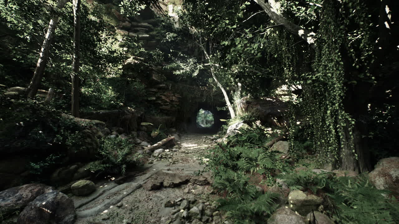 숲 속의 작은 터널 어두운 숲