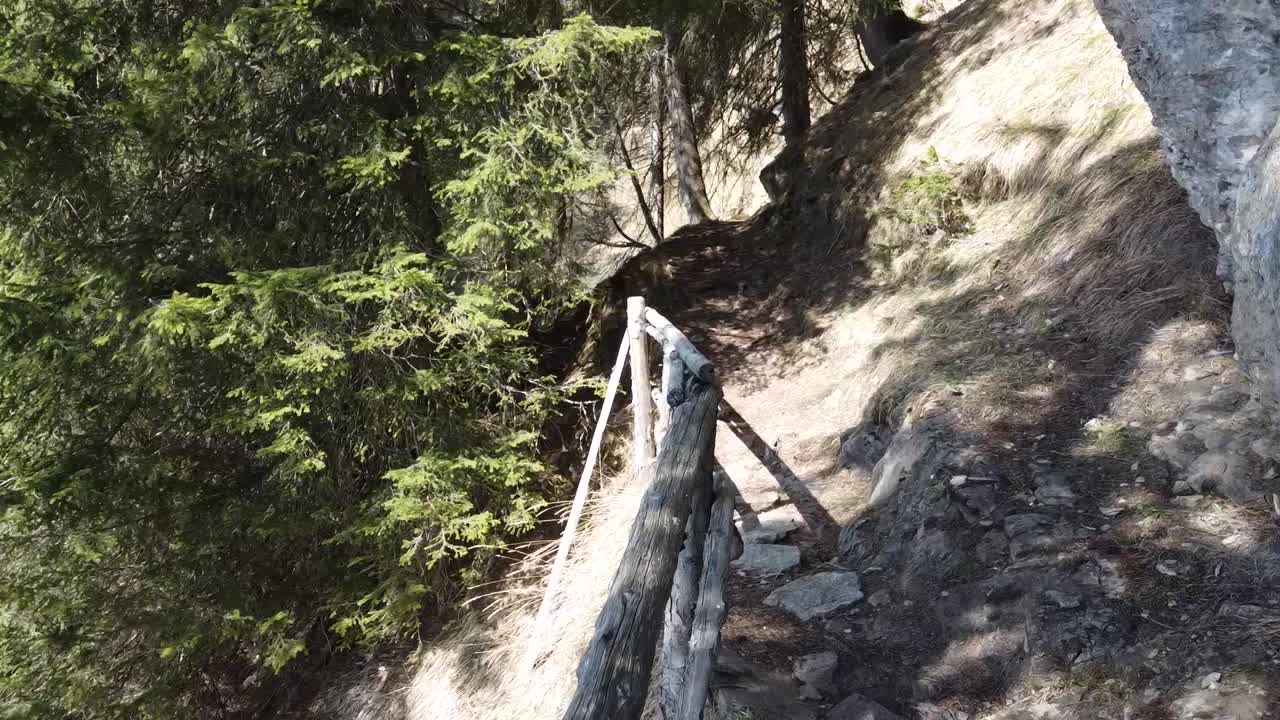Hiking on a small path in the Swiss mountains in the forest, nice weather