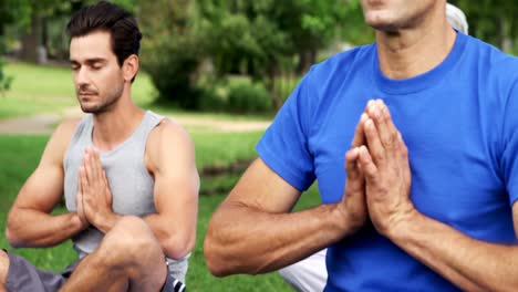 group of people performing yoga exercise in the park