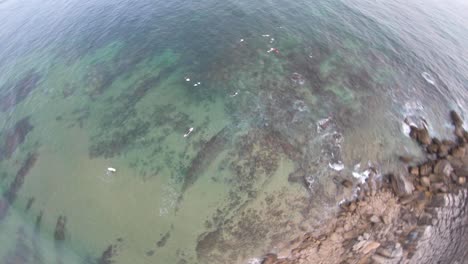 circular-movement-using-a-fisheye-of-green-and-amazing-ocean