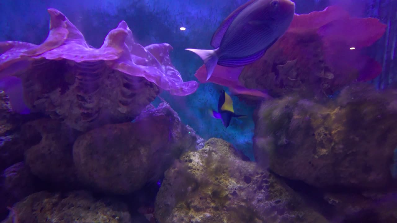 лучший вид на малый люцюй