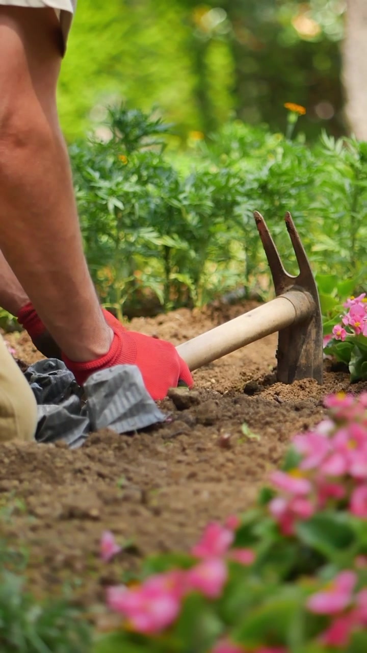 Jardineiro Usando uma Enxada para Preparar o Solo em um Jardim de Flores