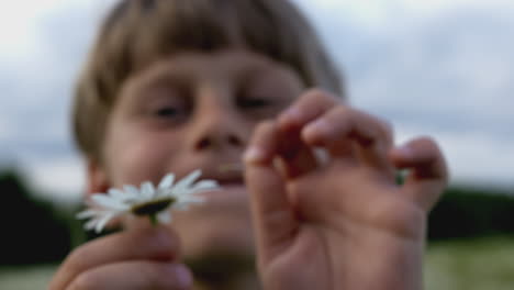 child playing with a daisy