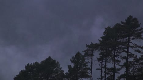 nubes moviéndose detrás de los árboles frente a una montaña en nepal