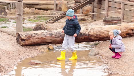 kids exploring and playing near a stream