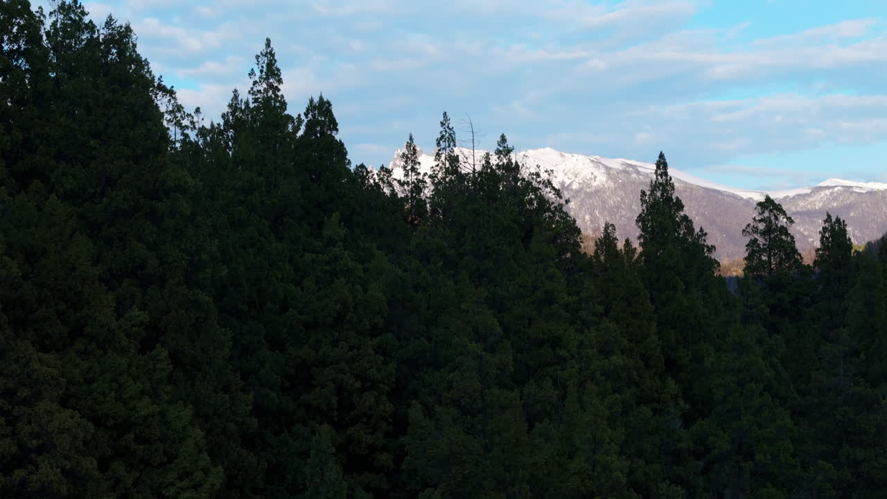 majestuosos andes con picos de nieve por encima de un exuberante bosque de hoja perenne, un día sereno