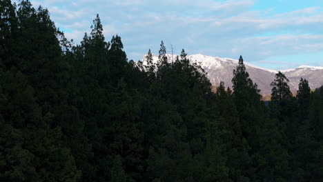 majestic andes with snow peaks above lush evergreen forest, serene day