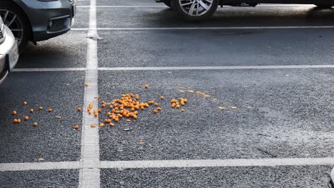 seagulls scavenging spilled food in a london car park