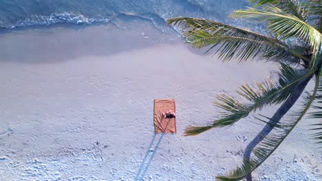 Frau-Yoga-Pose-Übung-Unter-Palme,-Sonnenuntergang-Seacret-Beach