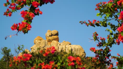 majestic rock on hang rai coast in vietnam surrounded by red flowers