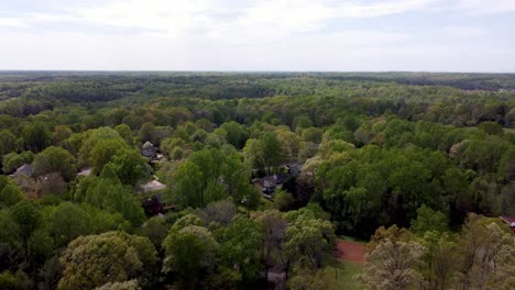 aerial-tilt-up-from-the-trees-to-the-sky-near-winston-salem-nc,-north-carolina