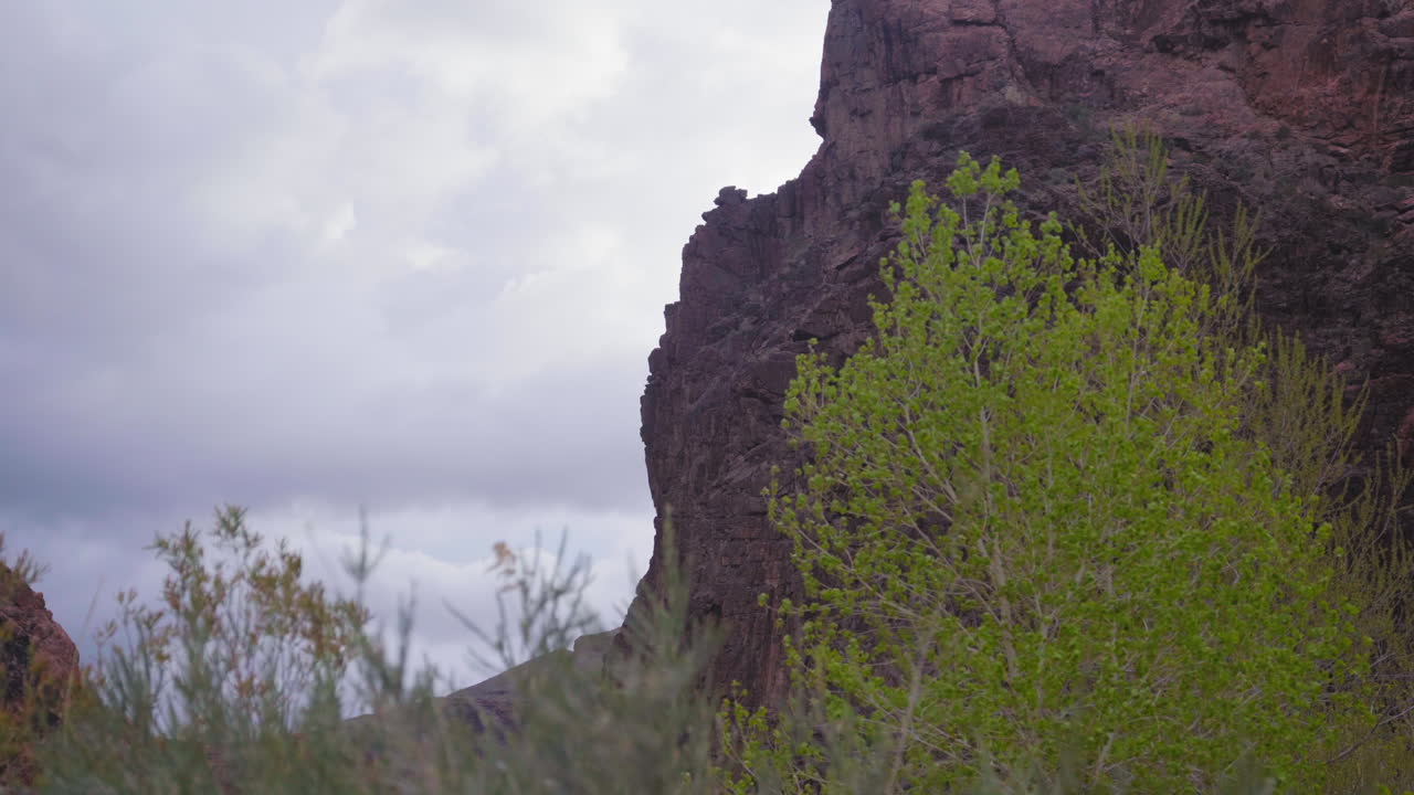 acantilado rocoso en el parque nacional del gran cañón, el establecimiento de la toma