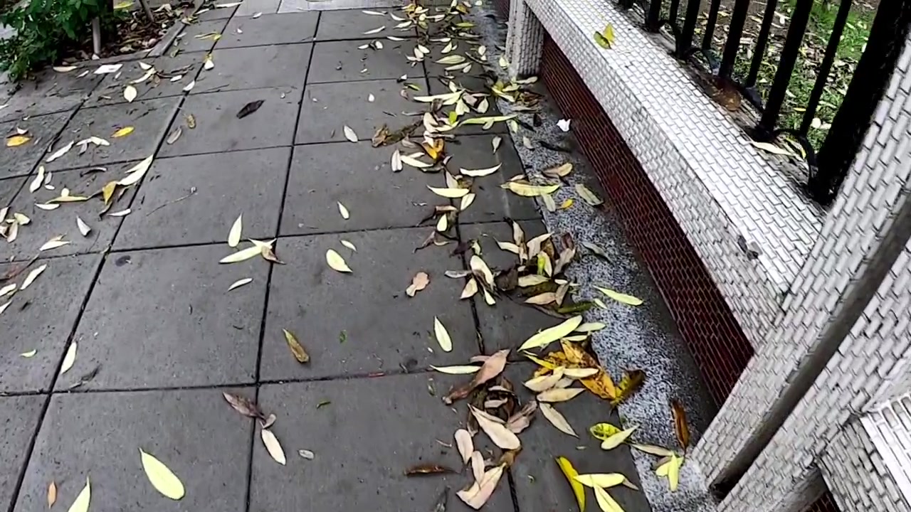 POV shot of unidentified person walking on the street with withered leaves on the ground.