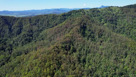 Green-Rainforest-In-Currumbin-Valley,-Gold-Coast,-QLD,-Australia---Aerial-Drone-Shot