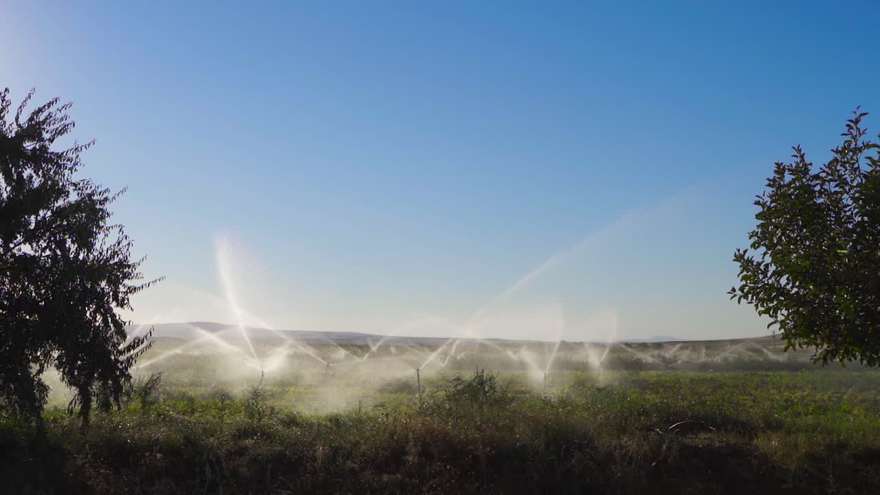 Crop irrigation system in farmland. Slow Motion.