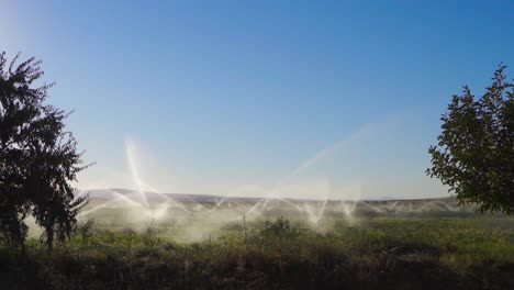 Crop-irrigation-system-in-farmland.-Slow-Motion.