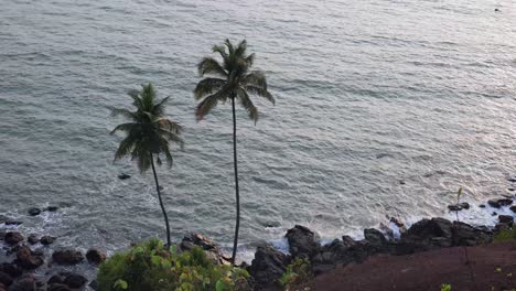 Two-coconut-trees-on-a-rocky-coastline-overlooking-the-serene-sea-during-sunset