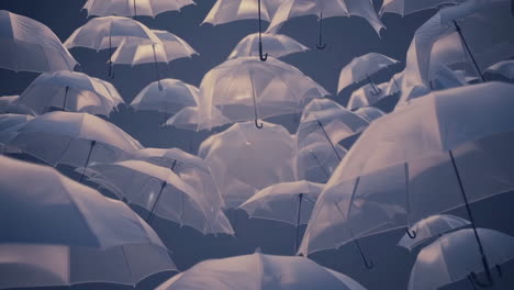 floating umbrellas