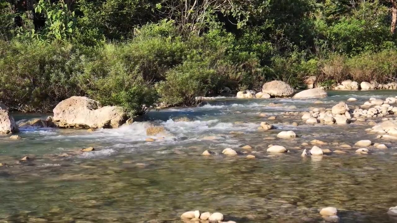 Ripresa cinematografica del gorgoglio dell'acqua pulita di un fiume in campagna nel pomeriggio.