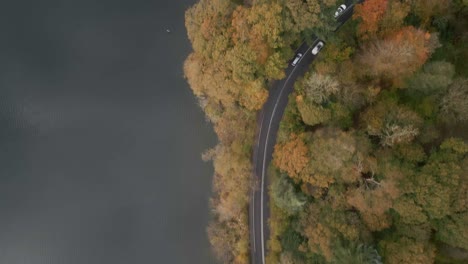 Dron-En-Movimiento-Disparado-Siguiendo-A-Los-Autos-A-Través-De-Una-Colorida-Escena-Otoñal-Junto-Al-Lago-Windermere-Ambleside-Cumbria