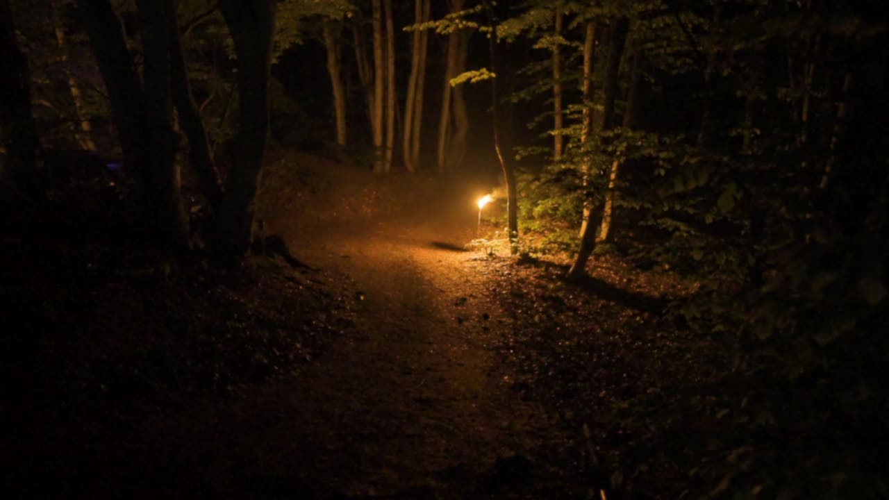 las llamas parpadeantes de una antorcha iluminando el camino en medio de un bosque de robles en la cima de la montaña strandzha en bulgaria