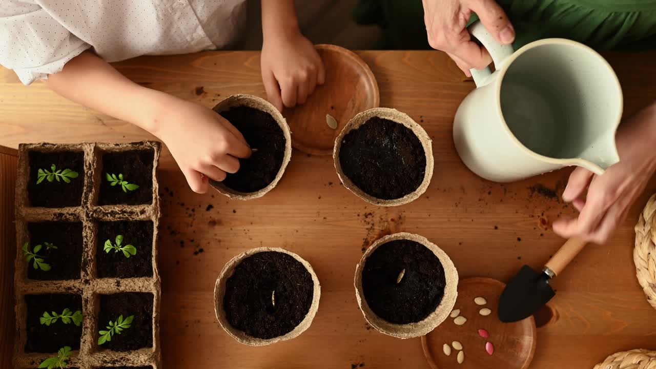 madre e hija trabajando en plantas en maceta sobre la mesa en casa