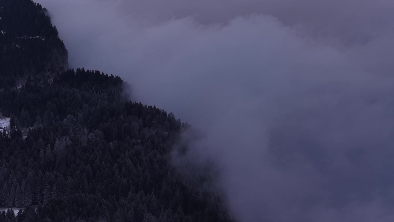Foggy mountain landscape with dense forest coverage, mysterious grey nature